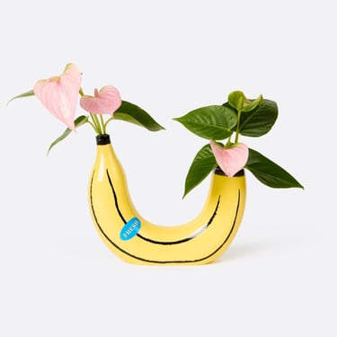 Banana | Vase