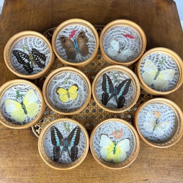 Set of 10 Vintage Round Wicker Coasters with Preserved Butterflies 