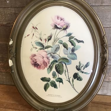 Roses &#038; Spiraea Print in Frame (Tacoma)
