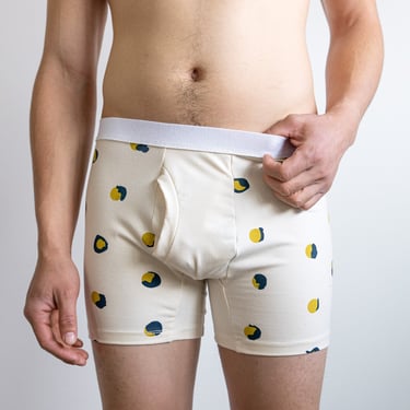 Organic Boxer Brief or Brief, Polka Dot Print Underwear, Made to Order Briefs 