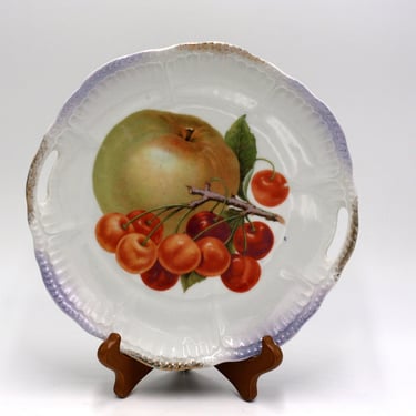 vintage Schwarzenhammer porcelain cherry plate made in Bavaria 
