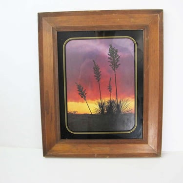 Vintage 70s Blooming Yucca at Sunset Wood Framed Art - Desert Landscape Nature Bohemian Southwest Artwork 