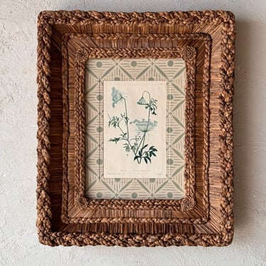 Gusto Woven Frame with Phillip Miller Engraving of Common Bishops-Weed circa 1807