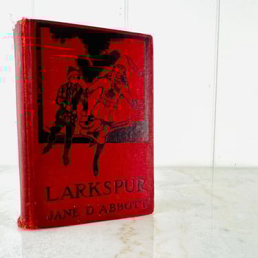 First Edition: 1919 "Larkspur" by Jane D. Abbott, Grosset & Dunlap, hardcover, collectible, antique book, display book, home decor, gift 