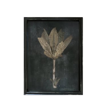 Framed Pressed Botanical Print, No. 4