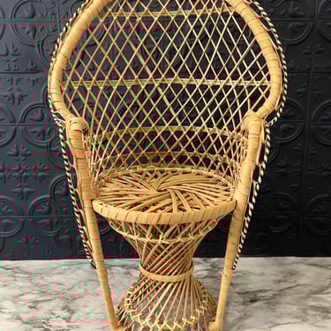 Wicker Peacock Chair for plant