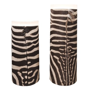 Pair of Illuminating Pedestals in Zebra Skins and Lucite 1970s