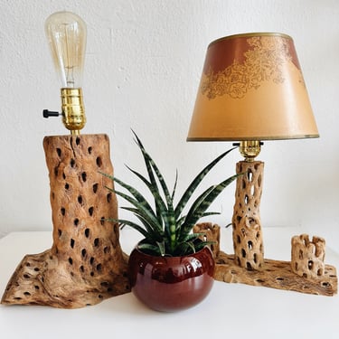 Cholla Wood Lamps