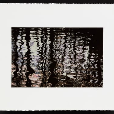 Anne Sager Forest Reflections Photograph Print