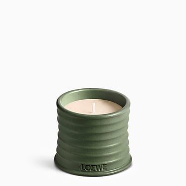 Loewe Shent Of Marihuana Green Small Candle Women