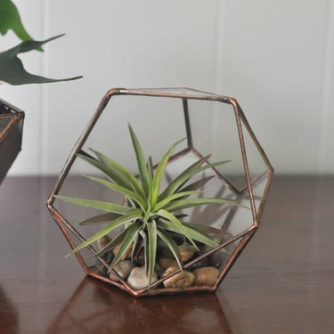 Calix Terrarium Kit, small half dodecahedron glass terrarium -- stained glass -- copper or silver color -- eco friendly 