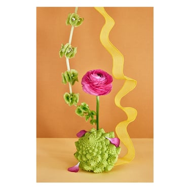 Still Life With Ranunculus, Romanesco Broccoli, and Ribbon: Archival Pigment Print, Original Art, Botanical Print, Decorative Still Life 