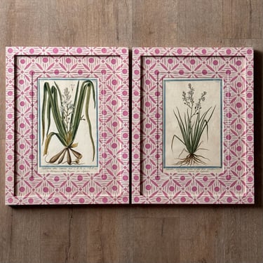Pair of Georgio Bonelli Botanicals in Gusto Painted Frame and Mat I