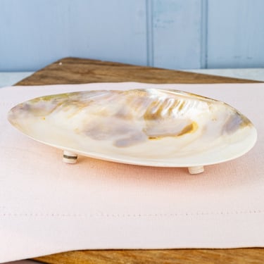 Natural Seashell Footed Dish