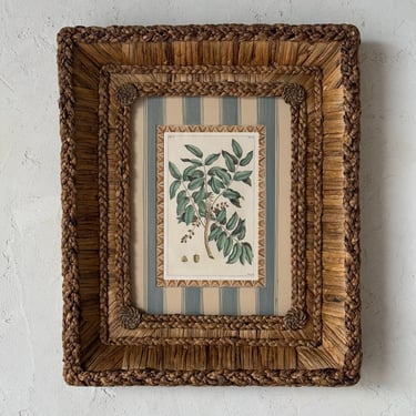 Gusto Woven Frame with 19th C. Rumpf Engraving II