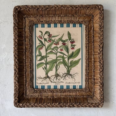 17th C. Hand Colored Besler Engraving of Frittillaria in Gusto Woven Frame II