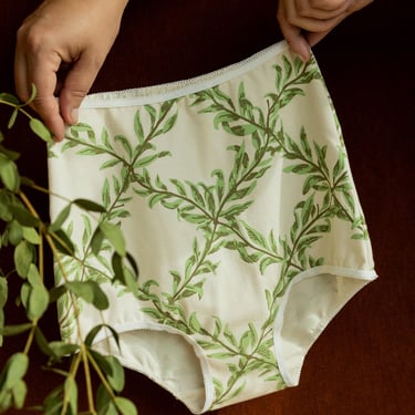 Organic Underwear, High Waisted Womens Panties, Mid-Rise, Willow Branch Pattern Undies, Matching Underwear Set 