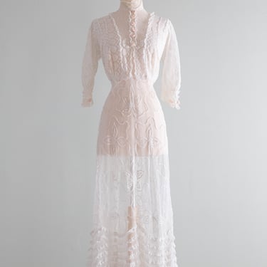 Exquisite Edwardian Embroidered Net Tea Dress With Pale Pink Rosettes / Small
