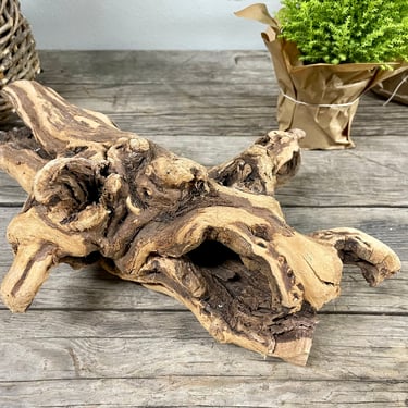 Rustic Tree Knot Log Twisted Branch | Indoor Garden Fairy Garden | Driftwood | Tree Root | Reclaimed Wood | Sculptural 