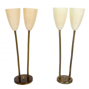 Double Gooseneck Table Lamps