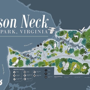 Mason Neck State Park, Virginia, decorative 11x17 map print 