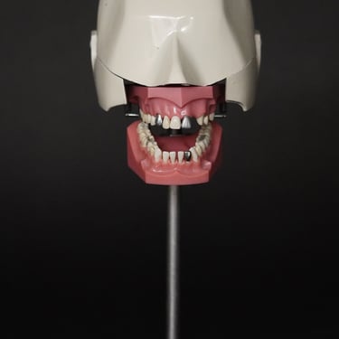 Classic Columbia Dental Phantom