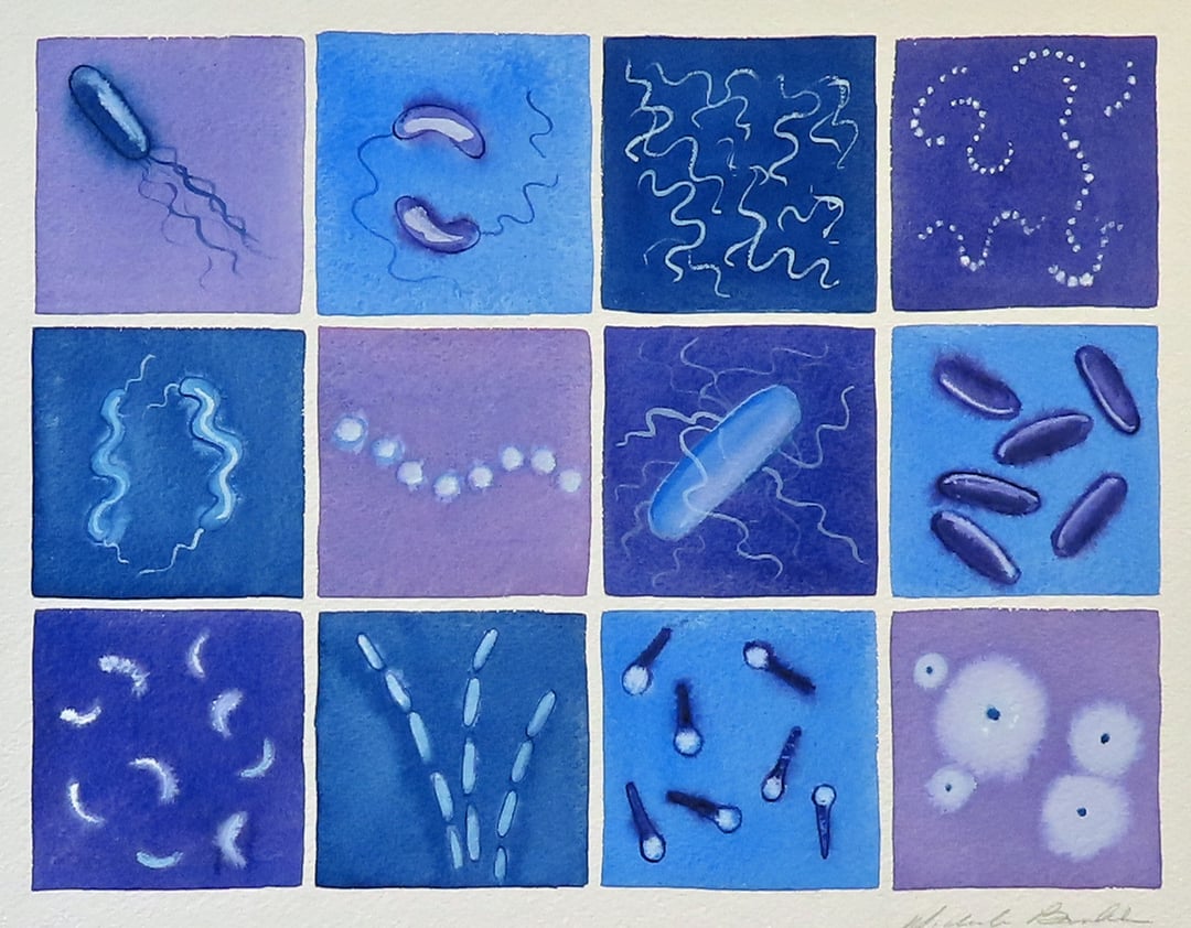 Bacteria in Lavender and Blue- original watercolor painting of microbes ...