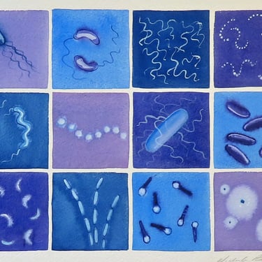 Bacteria in Lavender and Blue- original watercolor painting of microbes - microbiology art 