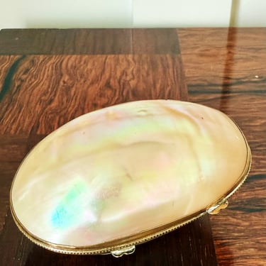 Antique French Shell Lidded Box