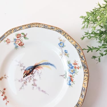 4 Vintage Theodore Haviland Limoges Bamboo Dinner Plates/ France/ Bird in the Center/Collectible Replacement/ Mix Match/Woodland/Rare 