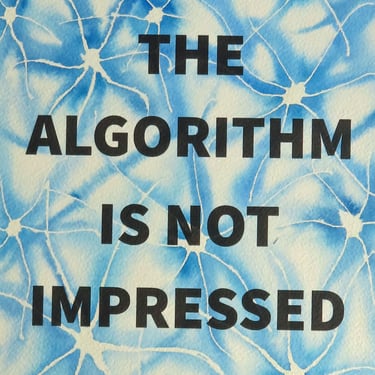 Algorithm Series 11: The Algorithm is Not Impressed 