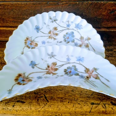 2 CARLSBAD China Antique Bone China Side Plate Marx & Gutherz Austria~Blue White Floral Plates~Elegant Table~JewelsandMetals 