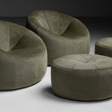 Lounge Chair & Ottoman by Pierre Paulin