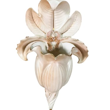 Royal Worcester Porcelain Orchid Wall Socket