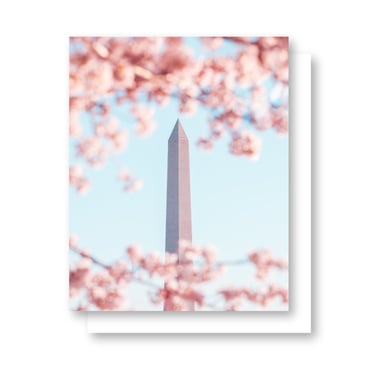 Washington DC Greeting Card Set, Thank You Cards, Cherry Blossom Stationery Set, Cherry Blossom Note Card Set, Washington DC Note Card Set 