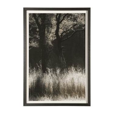 Tranquil Symmetry Framed Art Print