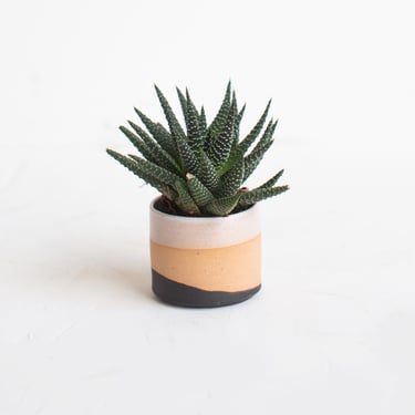 2.5" Handmade Mini Succulent Planter