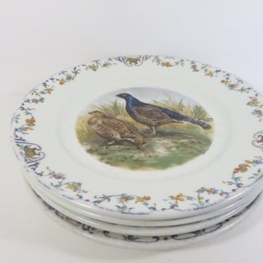 Vintage Haviland Limoges Decorative Game Bird Plates - Made in France 4 Bird Thanksgiving Fall Plates 