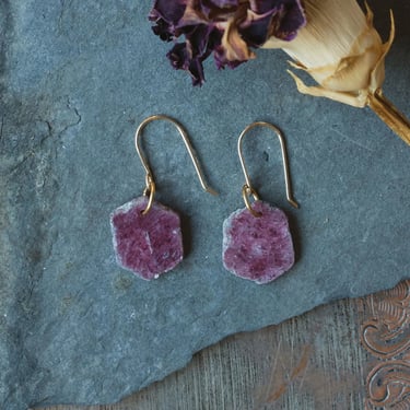 Echo earrings - 14k Gold-Fill, Brass, + Ruby