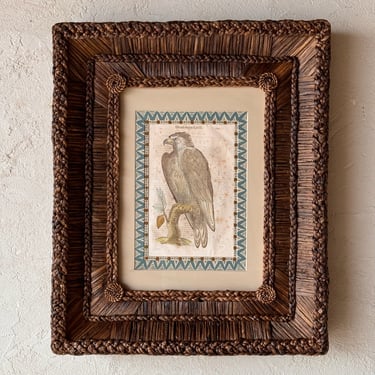Gusto Woven Frame with Aldrovandi Hand-Colored Ornithological Engraving XXXIX
