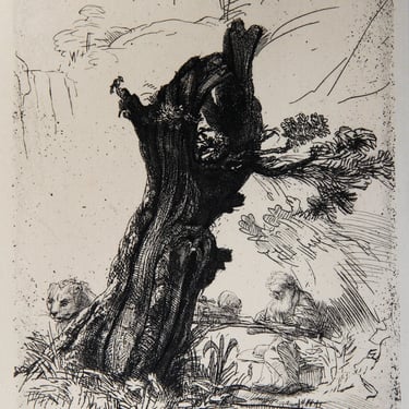 Saint Gerome Ecrivant (B103) Rembrandt 