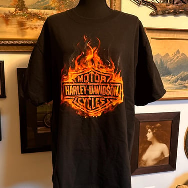 Vintage Y2K Harley Davison T-Shirt  S-XL Flame Shield 