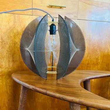 Mid Century Swag Lamp Pendant Light Paul Secon Lucite Acrylic String Lamp 