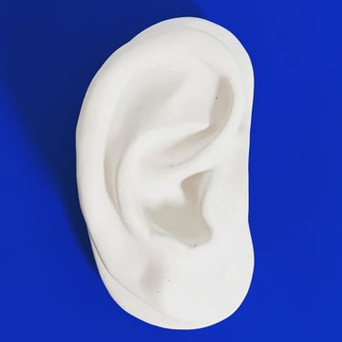 Plaster Ear Wall Sculpture 