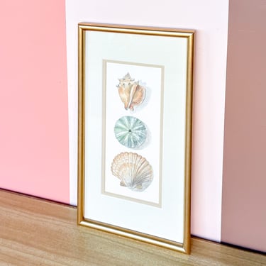 Framed Shell Print