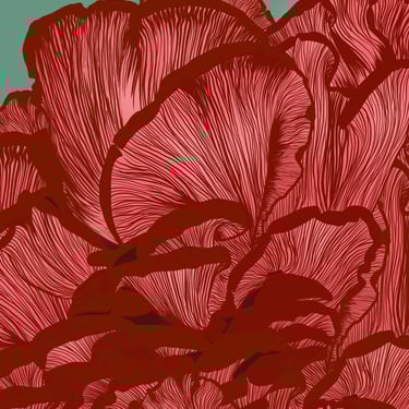 The Mushroom 