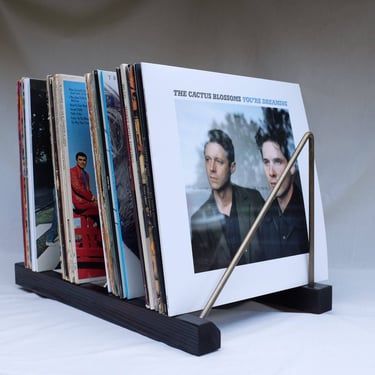 Vinyl Record Storage Rack  - Free Shipping 