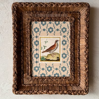Gusto Woven Frame with Francois Nicolas Martinet Hand-Colored Bird Engraving XXVIII