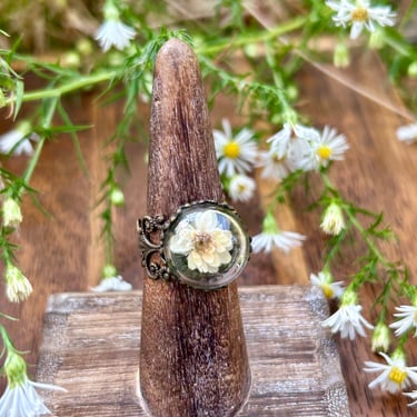 Terrarium Ring Real Dried Flower Moss Floral Mystical Magicsl Fairy Forest 