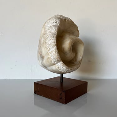 Vintage Hand Carved Shell - Shape Marble Sculpture 